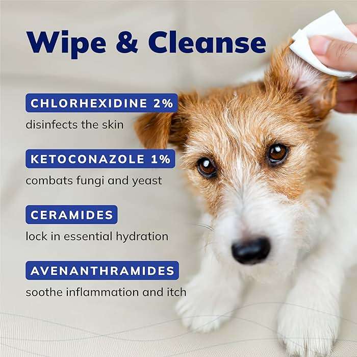 CeraSoothe CHX+KET Antiseptic Wipes for Dogs, Cats & Horses – Chlorhexidine 2% & Ketoconazole 1% for Skin & Coat Cleansing, 30 count - Image 5