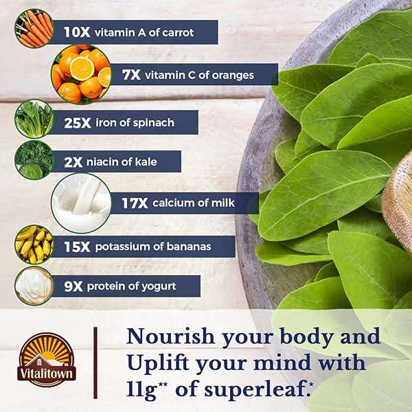 Vitalitown Moringa Capsules, Pure Moringa Oleifera Leaves, No Sticks, No Caffeine, Energy, Immune, 90 Capsules - Image 4