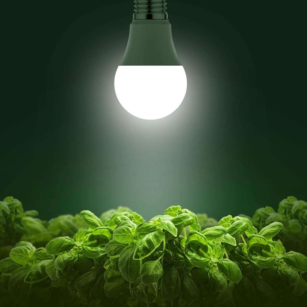 Briignite Full Spectrum LED Grow Light Bulb - A19 E26 Base, 11W (100W Equivalent) - for Indoor Plants, Seed Starting - 3 Pack - Image 2