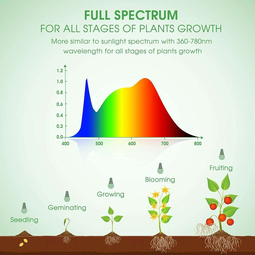 Briignite Full Spectrum LED Grow Light Bulb - A19 E26 Base, 11W (100W Equivalent) - for Indoor Plants, Seed Starting - 3 Pack - Image 4