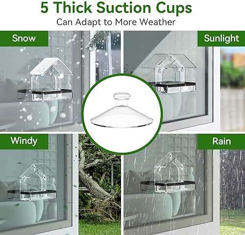 Clear Window Bird Feeder with 5 Extra Strong Suction Cups, DY-SKTY Sturdy and Durable Acrylic Birdfeeders for Viewing Wild Birds Outside, as a Bird Watching Gift, Outdoor Birdhouse Box, Garden Decor - Image 4
