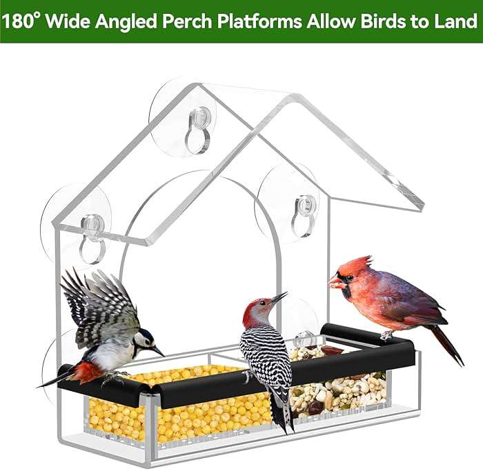Clear Window Bird Feeder with 5 Extra Strong Suction Cups, DY-SKTY Sturdy and Durable Acrylic Birdfeeders for Viewing Wild Birds Outside, as a Bird Watching Gift, Outdoor Birdhouse Box, Garden Decor - Image 7