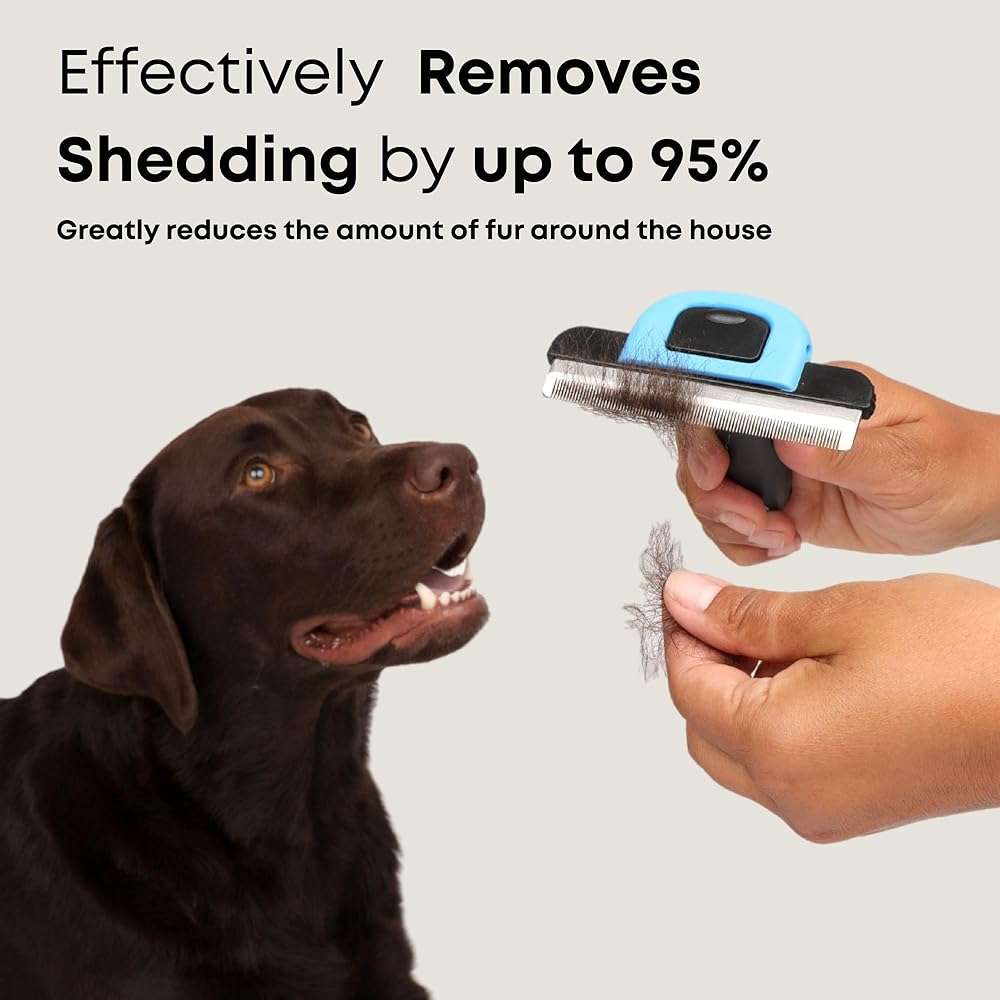 Freshly Bailey Deshedding Brush for Short Haired Dogs & Cats - Cat and Dog Brush for Shedding Short Hair - Highly Effective Deshedder Grooming Comb - Image 2
