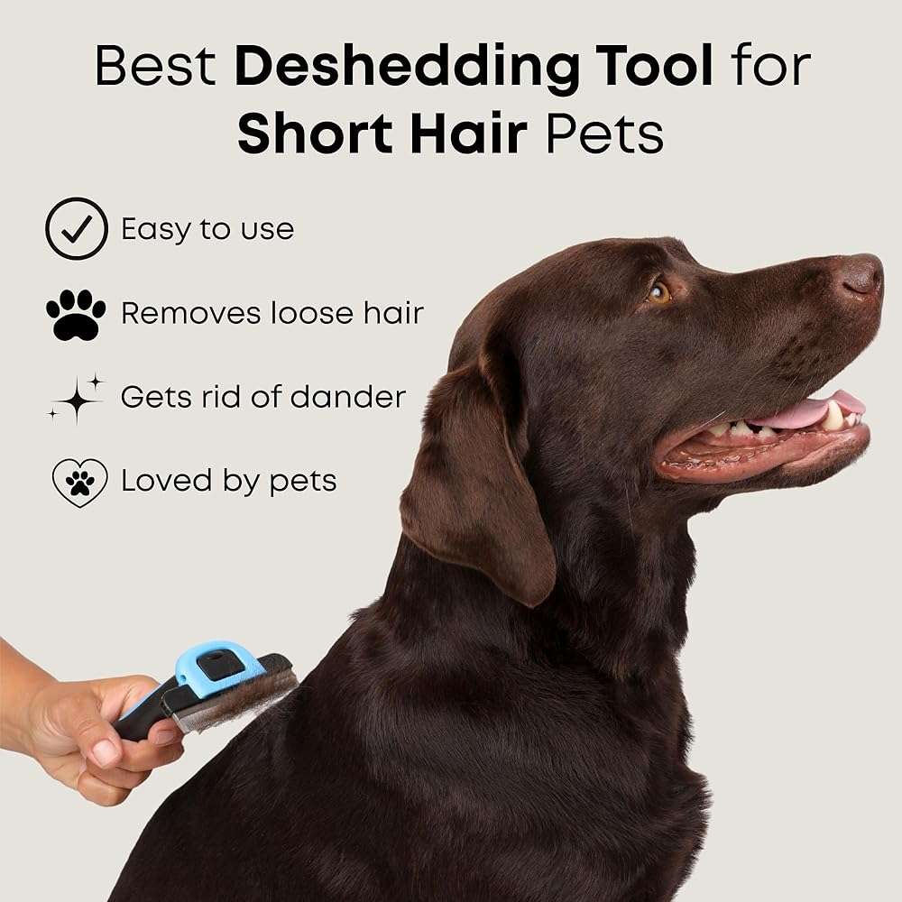 Freshly Bailey Deshedding Brush for Short Haired Dogs & Cats - Cat and Dog Brush for Shedding Short Hair - Highly Effective Deshedder Grooming Comb - Image 3
