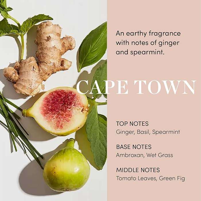 OUAI Scalp Serum - Balancing Hair Serum with Red Clover Extract, Siberian Ginseng and Peptides for Thicker and Fuller-Looking Hair - Paraben, Phthalate and Sulfate Free Scalp Care (2 Fl Oz) - Image 6