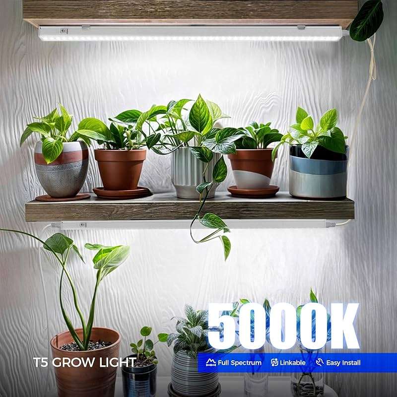 Barrina T5 Grow Lights, 5000K White Full Spectrum LED Grow Light, 2ft 80W (8 x 10W) Plant Grow Lights for Indoor Plants, Plug and Play, 8-Pack - Image 2