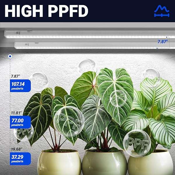Barrina T5 Grow Lights, 5000K White Full Spectrum LED Grow Light, 2ft 80W (8 x 10W) Plant Grow Lights for Indoor Plants, Plug and Play, 8-Pack - Image 3