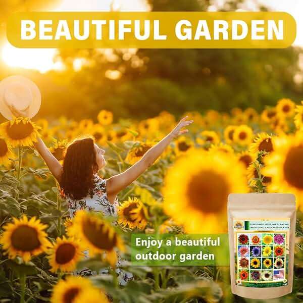 1000+ Sunflower Seeds for Planting Heirloom Non-GMO, Bulk Package of 15 Varieties Mix Seeds, Individually Packaged, Attracts Pollinators (Helianthus annuus) - Image 6