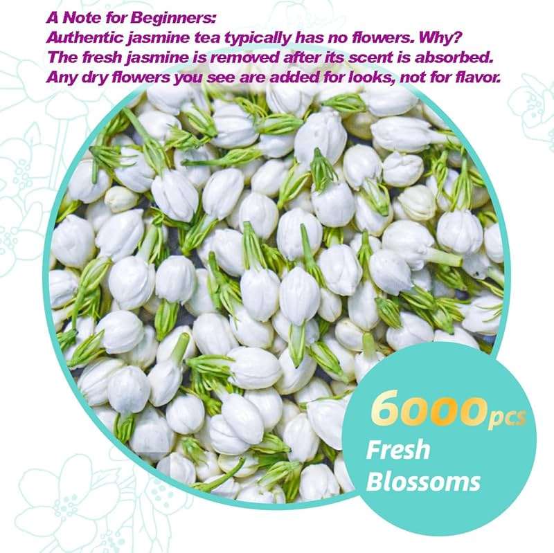 Essencesip Organic Jasmine Green Tea Loose Leaf, 4oz Tin – Scented 5x with 6,000 Fresh Jasmine Blossoms, Low Caffeine, Antioxidant-Rich - Image 3