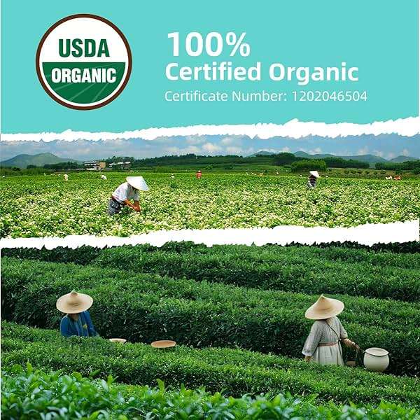Essencesip Organic Jasmine Green Tea Loose Leaf, 4oz Tin – Scented 5x with 6,000 Fresh Jasmine Blossoms, Low Caffeine, Antioxidant-Rich - Image 4