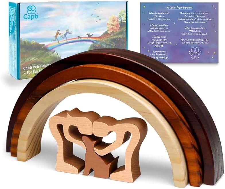 Capti Rainbow Bridge Dog Memorial Gifts, Pet Memorial - I'll Meet You at The Rainbow Bridge - Pet Loss Gifts, Bereavement, Sympathy Keepsake Dog Mom, Dog Dad for Loss of Pet (Dog and Family) - Image 1