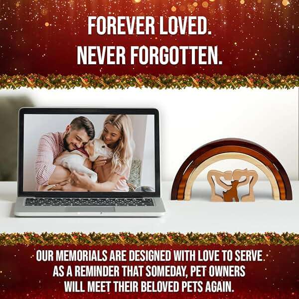 Capti Rainbow Bridge Dog Memorial Gifts, Pet Memorial - I'll Meet You at The Rainbow Bridge - Pet Loss Gifts, Bereavement, Sympathy Keepsake Dog Mom, Dog Dad for Loss of Pet (Dog and Family) - Image 3