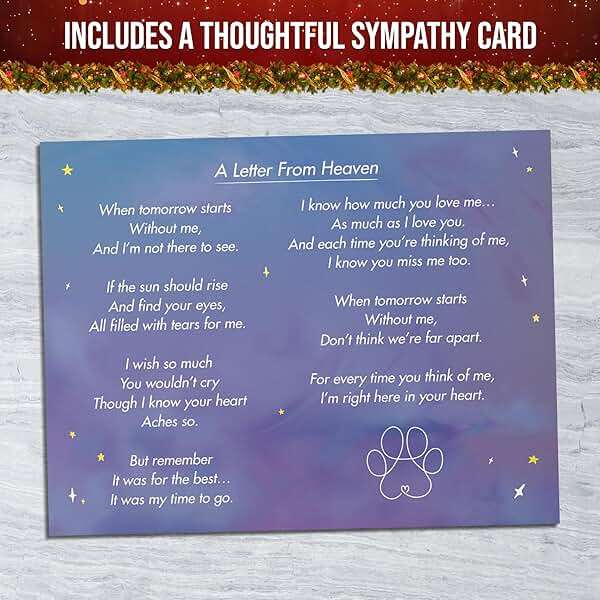 Capti Rainbow Bridge Dog Memorial Gifts, Pet Memorial - I'll Meet You at The Rainbow Bridge - Pet Loss Gifts, Bereavement, Sympathy Keepsake Dog Mom, Dog Dad for Loss of Pet (Dog and Family) - Image 4