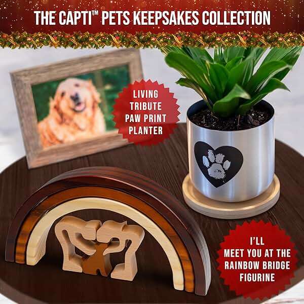 Capti Rainbow Bridge Dog Memorial Gifts, Pet Memorial - I'll Meet You at The Rainbow Bridge - Pet Loss Gifts, Bereavement, Sympathy Keepsake Dog Mom, Dog Dad for Loss of Pet (Dog and Family) - Image 8