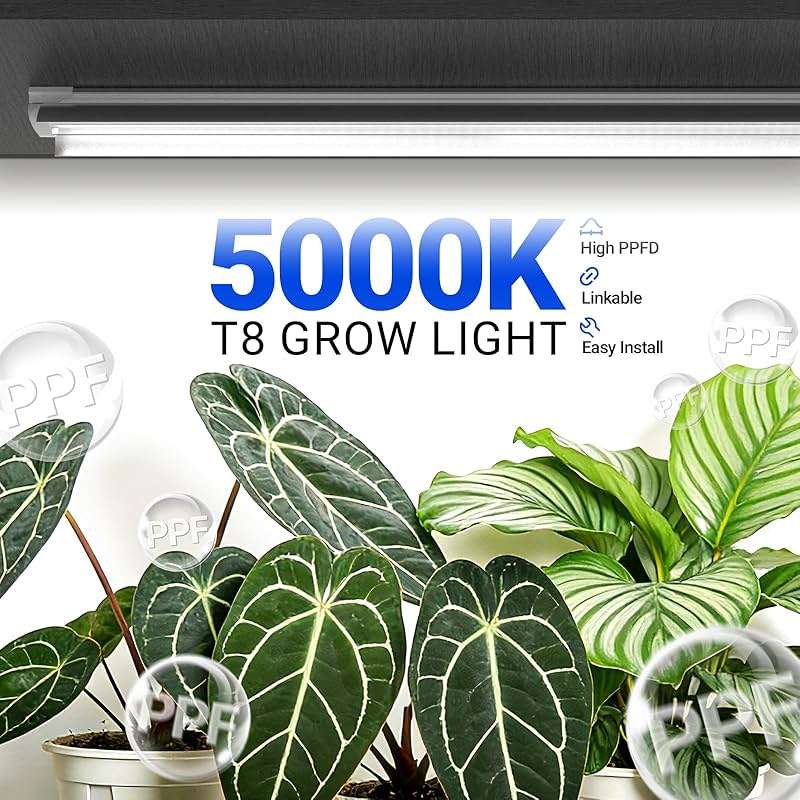 Barrina Plant Grow Lights, 4FT 5000K Full Spectrum Daylight White, 252W(6 x 42W, 1400W Equivalent), T8 LED Grow Light Strips, Growing Lamp Fixture, Plant Lights for Indoor Plants, Greenhouse, 6-Pack - Image 4