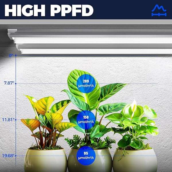Barrina Plant Grow Lights, 4FT 5000K Full Spectrum Daylight White, 252W(6 x 42W, 1400W Equivalent), T8 LED Grow Light Strips, Growing Lamp Fixture, Plant Lights for Indoor Plants, Greenhouse, 6-Pack - Image 5