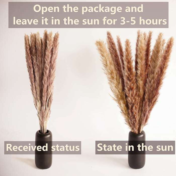 100 PCS Small Boho Pampas Grass, 17" Naturally Dried Pompas, Pampas Grass Decor for Wedding , Boho Party Decorations, Table Decor(Brown and White) - Image 5