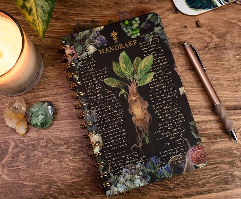 Harry Potter Mandrake Floral 5-Tab Spiral Notebook | 75-Page Bound Sketchbook Journal, Work Memo Notepad With Lined Paper, Travel Diary Writing | Home School Supplies For College, Business - Image 2