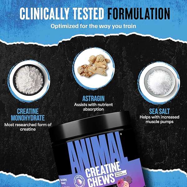 Animal Creatine Chews – 5g Creatine Monohydrate Tablets for Strength, Power & Training Recovery Support – Enhanced Absorption with AstraGin® – Convenient Chewable Format – 120 Tablets - Image 5