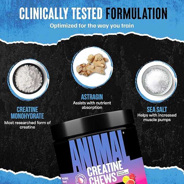 Animal Creatine Chews Tablets - Enhanced Creatine Monohydrate with AstraGin to Improve Absorption, Sea Salt for Added Pumps, Delicious and Convenient Chewable Tablets - Fruit Punch - Image 5