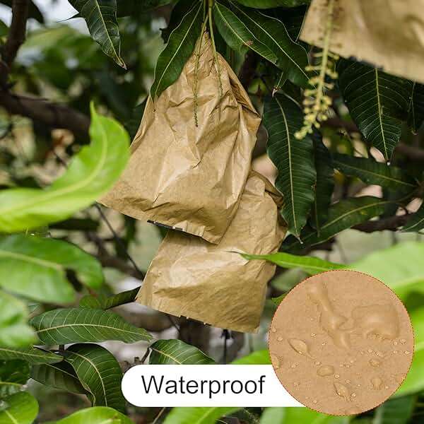 MECCANIXITY Fruit Protection Bags 18x15cm Paper Fruit Cover Bags for Fruit Flower Protecting Yellow/Black Pack of 100 - Image 5