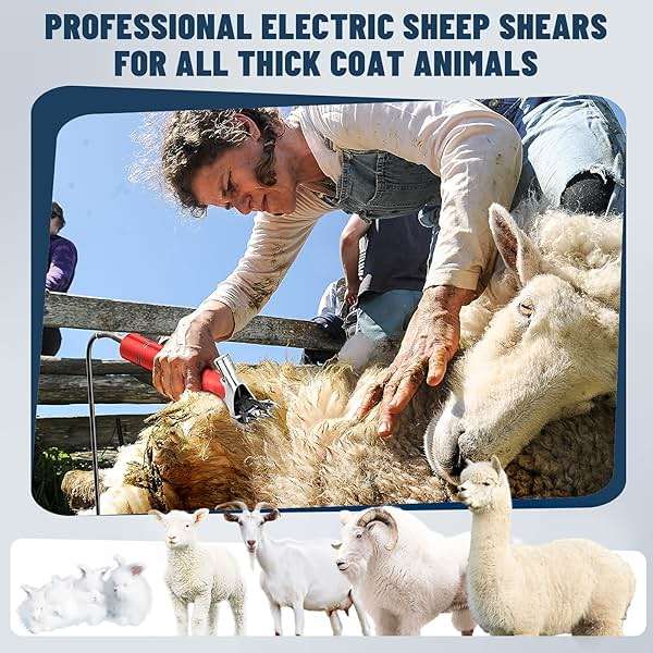 Dragro 1000W Electric Sheep Shears, Professional Sheep Clippers, Animal Grooming Clippers for Horse Alpacas Goats, Farm Livestock Shearing Machine-Grooming Kit Animal Hair Cutting - Image 7
