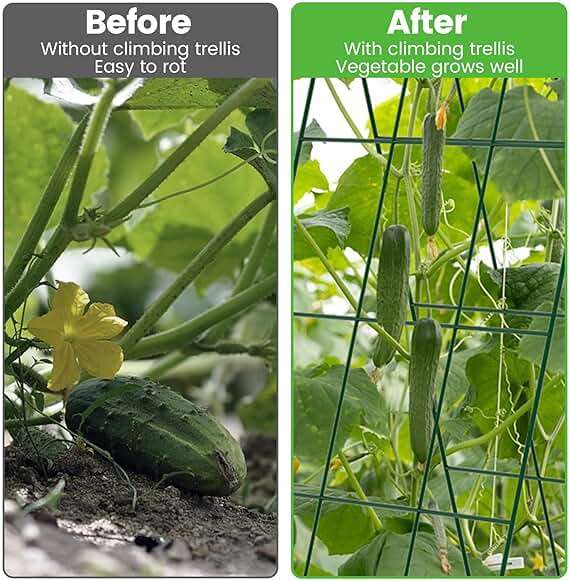 Toriexon Foldable Cucumber Trellis - 2 Pack, A-Frame Garden Trellis 46" L x 18" W, Steel Climbing Plants Support Raised Bed Trellis with Twist Ties & Plant Bags for Climbing Plants Outdoor - Image 4