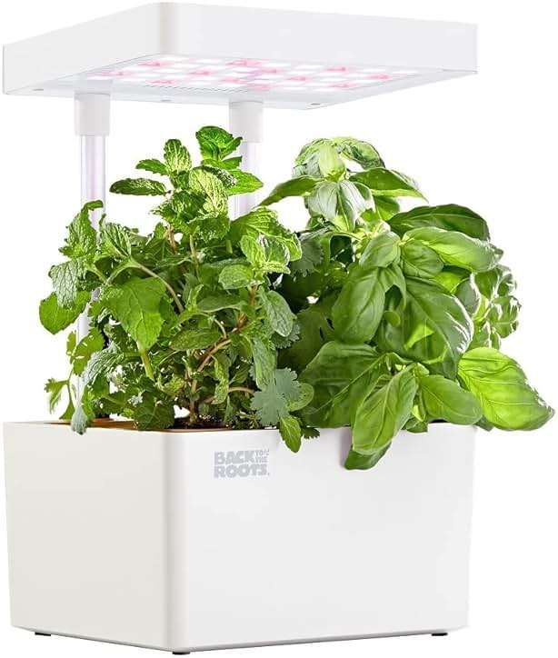 Back to the Roots v1.0 Hydroponic Grow Kit, 2022 Model - Image 1