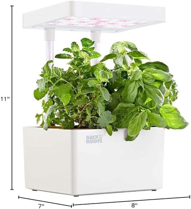 Back to the Roots v1.0 Hydroponic Grow Kit, 2022 Model - Image 2