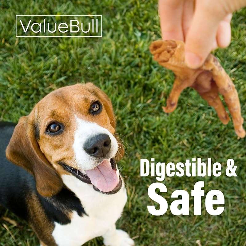 ValueBull Chicken Feet for Dogs, 100 Count Bulk Pack - All Natural Dog Chew, Hip and Joint Chew, Single Ingredient Dog Treat - Image 4