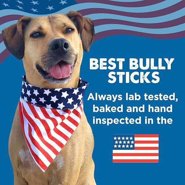 Best Bully Sticks Marrow Bones - 3 Count (Pack of 1) - USA Packed, Healthy Snack, Grass-Fed Beef, Long-Lasting, Great for Large Breeds - Image 7