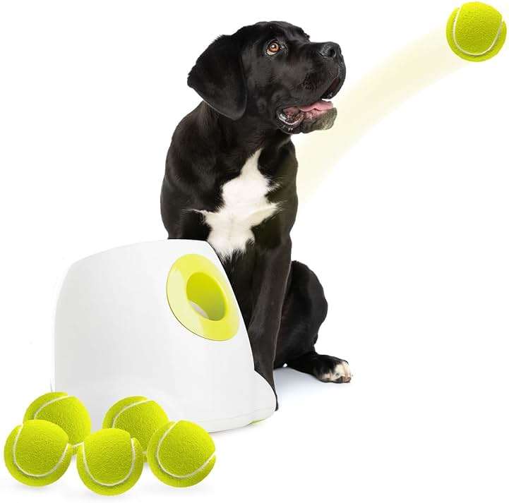 ALL FOR PAWS Automatic Dog Ball Launcher Maxi, Interactive Ball Thrower Dog Toys Includes 6pcs Tennis Balls for Large Dogs - Image 1
