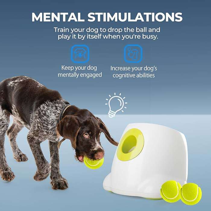 ALL FOR PAWS Automatic Dog Ball Launcher Maxi, Interactive Ball Thrower Dog Toys Includes 6pcs Tennis Balls for Large Dogs - Image 2