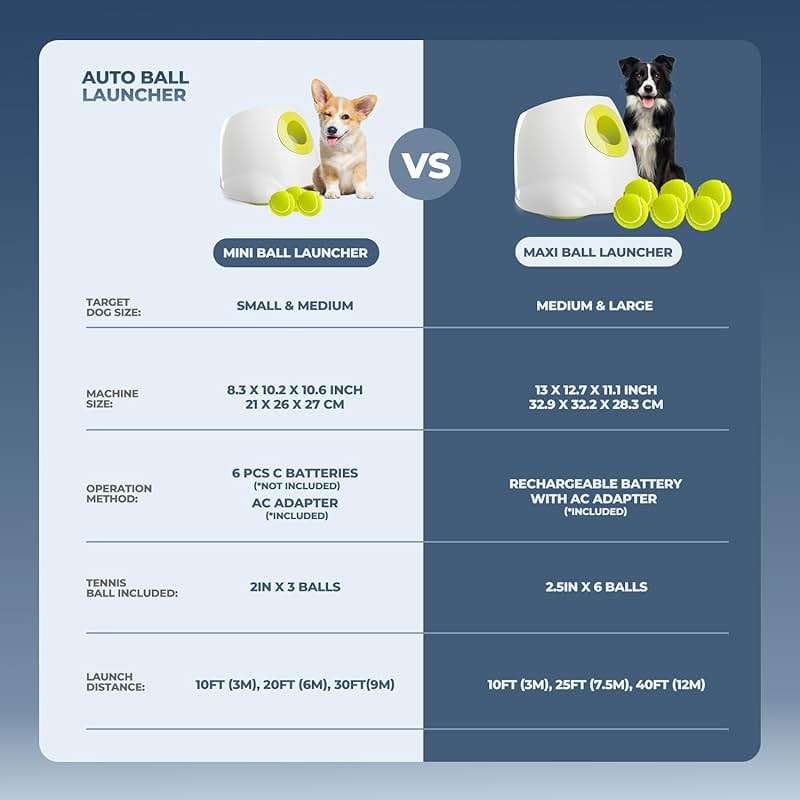 ALL FOR PAWS Automatic Dog Ball Launcher Maxi, Interactive Ball Thrower Dog Toys Includes 6pcs Tennis Balls for Large Dogs - Image 4