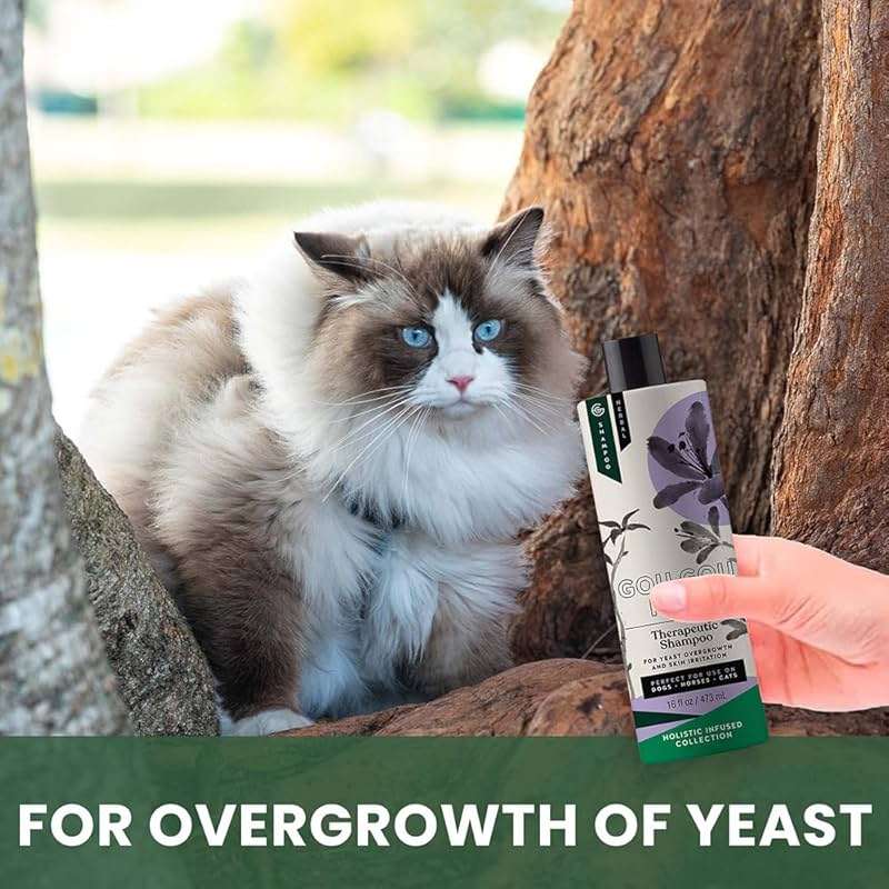 Gou Gou Pets Holistic Natural Anti-Fungal Shampoo for Dogs, Cats & Horses: Veterinarian Recommended: Relieve Itching & Flaking Skin Caused By Fungal Infections & Skin Conditions - Made in USA - 16 oz - Image 2