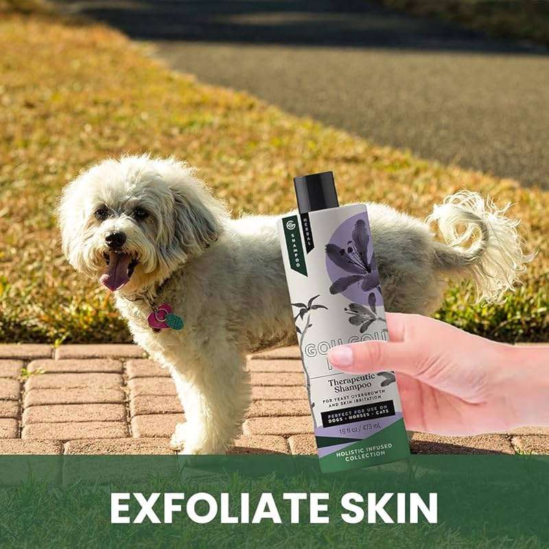 Gou Gou Pets Holistic Natural Anti-Fungal Shampoo for Dogs, Cats & Horses: Veterinarian Recommended: Relieve Itching & Flaking Skin Caused By Fungal Infections & Skin Conditions - Made in USA - 16 oz - Image 3