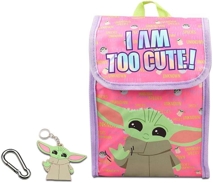 Fast Forward Baby Yoda Backpack with Lunch Box for Girls Set - Bundle with Baby Yoda Backpack, Baby Yoda Lunch Bag, Water Bottle, Stickers, Keychain, More | Star Wars Backpack for Girls - Image 4