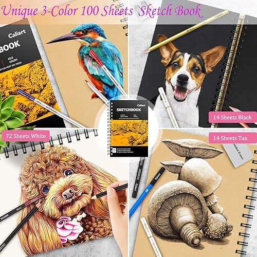 Caliart 176PCS Art Supplies Sketching Kit with 100 Sheets 3-Color Sketch Book, Graphite Colored Charcoal Watercolor & Metallic Pencils, Drawing Set Gifts for Adults Teens Girls Boys Kids - Image 2