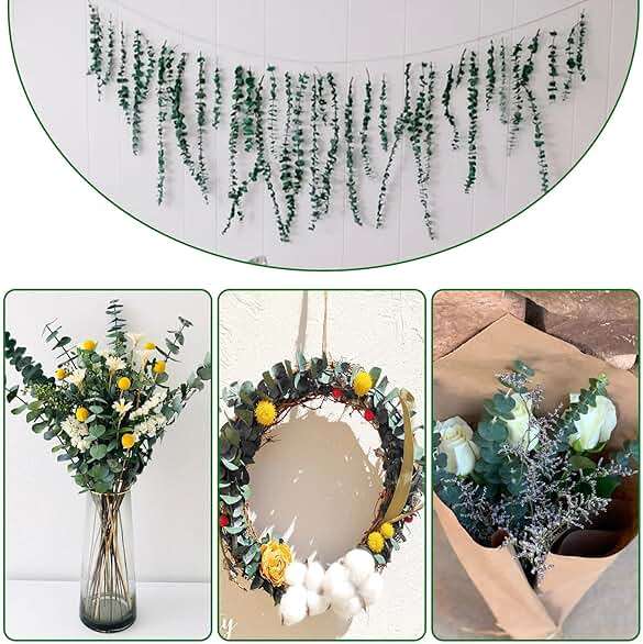 20 Pcs Preserved Dried Eucalyptus Stems, 17" Natural Fresh Eucalyptus Branches for Shower, Real Plant for Vase Filler, Dried Flowers Arrangement, Floral Home Decor - Image 5