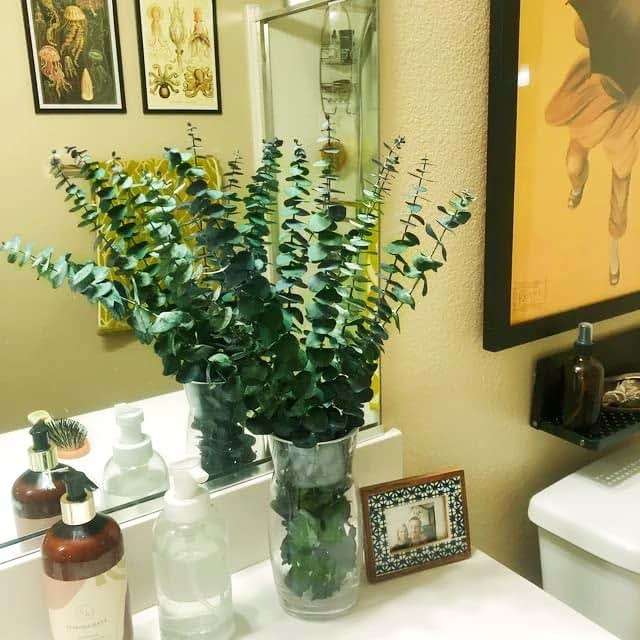 20 Pcs Preserved Dried Eucalyptus Stems, 17" Natural Fresh Eucalyptus Branches for Shower, Real Plant for Vase Filler, Dried Flowers Arrangement, Floral Home Decor - Image 6