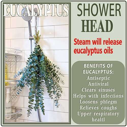 20 Pcs Preserved Dried Eucalyptus Stems, 17" Natural Fresh Eucalyptus Branches for Shower, Real Plant for Vase Filler, Dried Flowers Arrangement, Floral Home Decor - Image 7