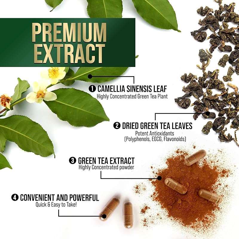 Green Tea Extract 1000mg Per Serving - Standardized 45% EGCG & 98% Polyphenols - 3X Strength Green Tea Pills for Energy, Supports Heart Health, Herbal Supplement, Vegan, Bottled in USA - 120 Capsules - Image 5