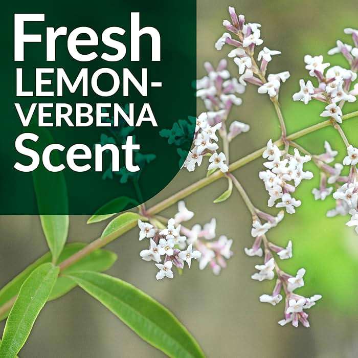 Multi-Surface Floor Care - Cleans Hardwood, Vinyl, Laminate, Tile, Concrete and Other Wood - pH Neutral Floor Cleaner 1Gal - Image 6