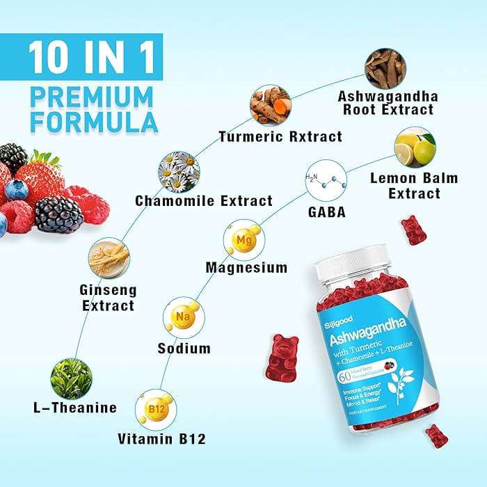 Sijigood Ashwagandha Gummies with L-theanine, Ashwa Root Supplement Gummy for Women Men, 60 Mixed Berry Flavored Gummies - Image 3
