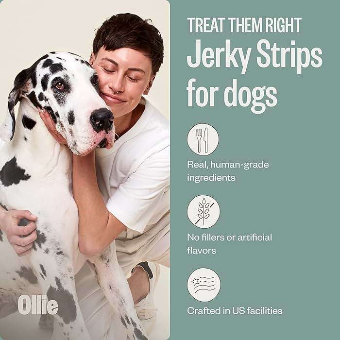 Ollie Chicken and Apple Jerky Dog Treats, 5 oz Pack of 1, All Natural, Healthy Snacks, Made with Real Meat, Human Grade, for Dogs - Image 2
