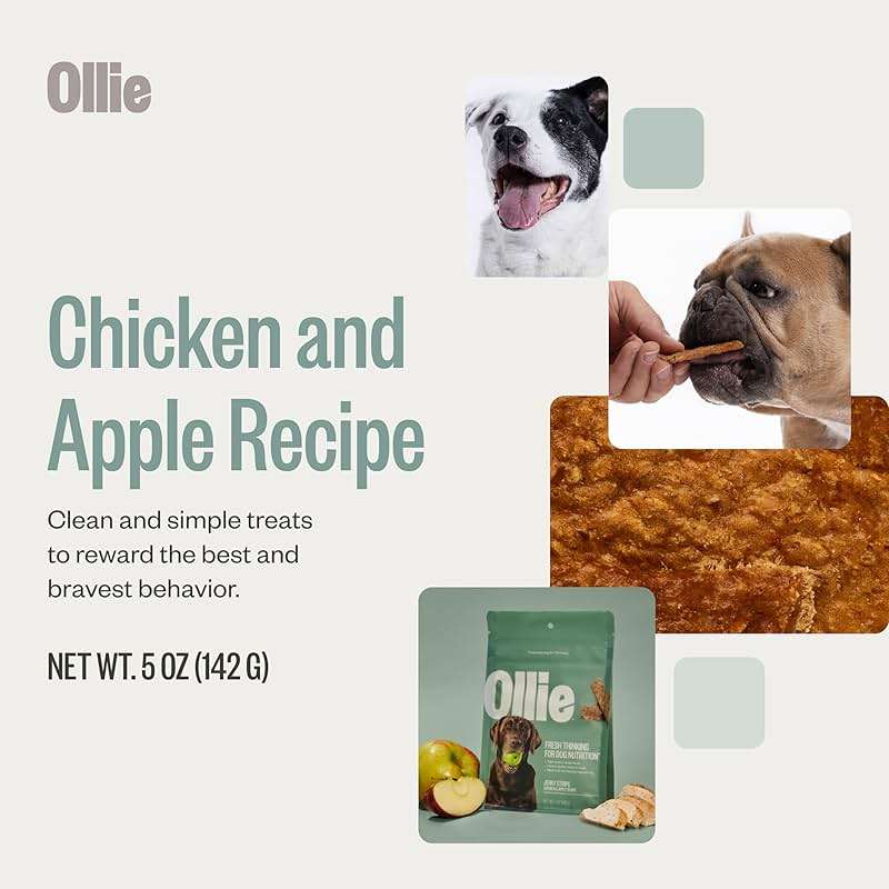 Ollie Chicken and Apple Jerky Dog Treats, 5 oz Pack of 1, All Natural, Healthy Snacks, Made with Real Meat, Human Grade, for Dogs - Image 3