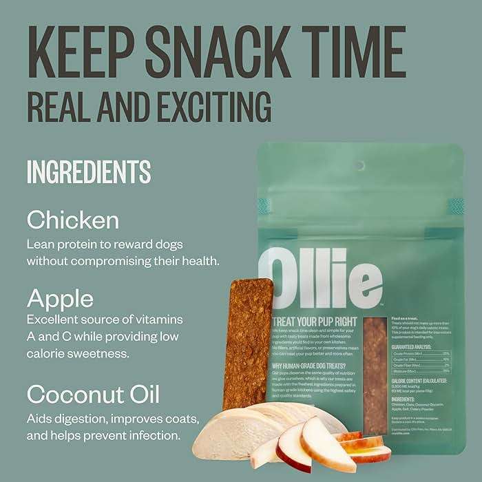 Ollie Chicken and Apple Jerky Dog Treats, 5 oz Pack of 1, All Natural, Healthy Snacks, Made with Real Meat, Human Grade, for Dogs - Image 4