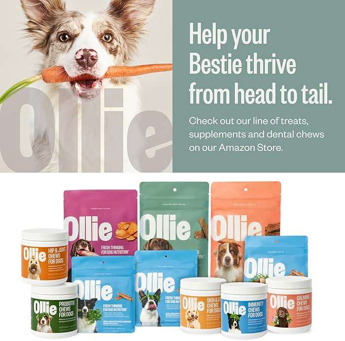 Ollie Chicken and Apple Jerky Dog Treats, 5 oz Pack of 1, All Natural, Healthy Snacks, Made with Real Meat, Human Grade, for Dogs - Image 6
