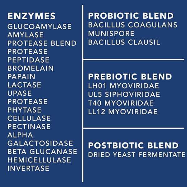 4-in-1 Gut Health Support – Prebiotics + Probiotics + Postbiotics + Digestive Enzymes for Women and Men – DE111 Spore Probiotic for Digestive Support & Bloating – Non-GMO – 60 Veggie Capsules - Image 9