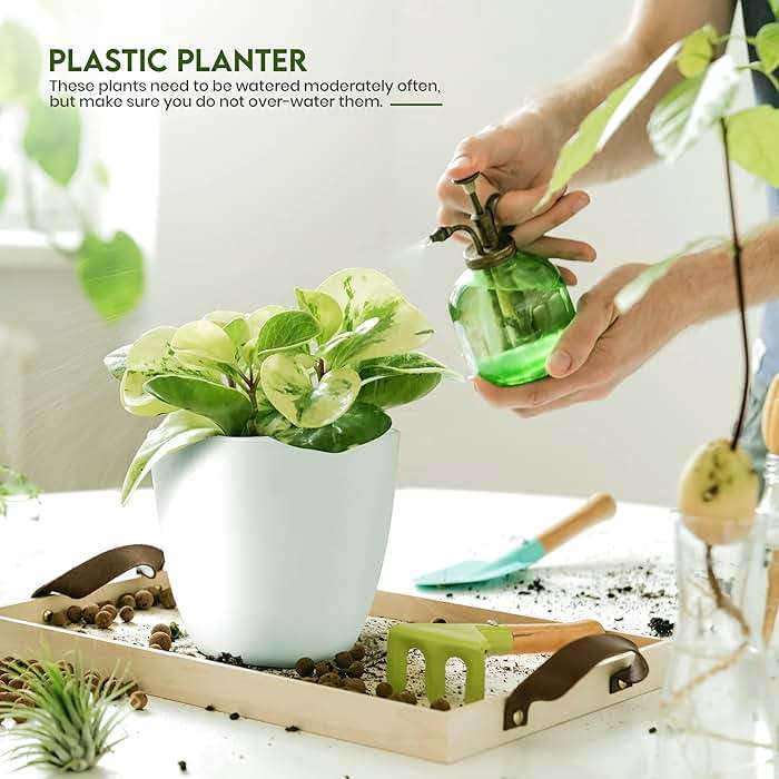 Utopia Home Plant Pots Indoor with Drainage Holes – Set of 5 White Plastic Flower Pots (7/6.6/6/5.3/4.8 Inch) – Modern Planters for Indoor Plants, Room & Office Décor, Great Stocking Stuffers - Image 5